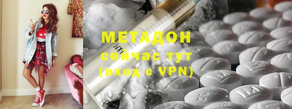 индика Арсеньев