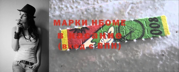 индика Арсеньев