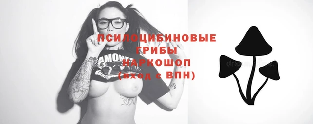 индика Арсеньев