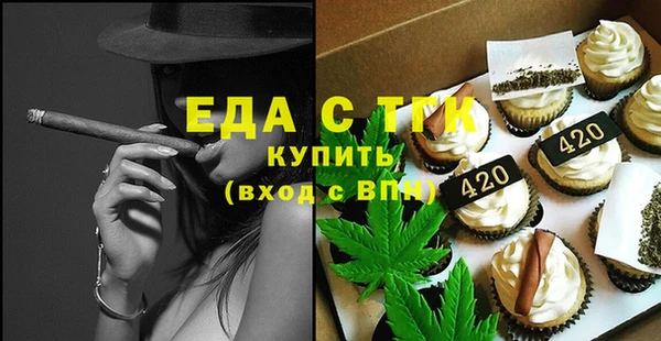 индика Арсеньев
