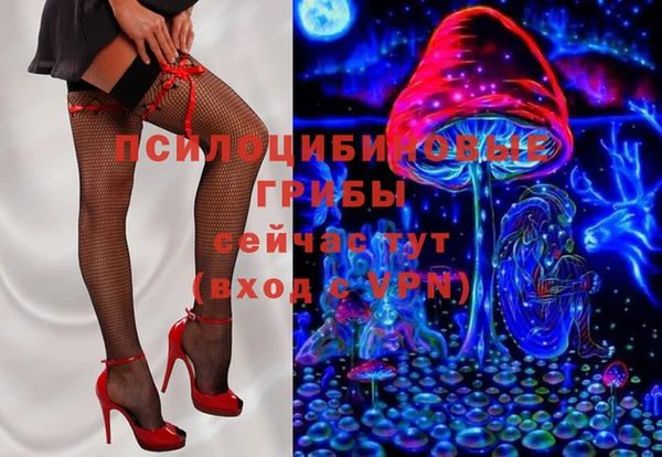 индика Арсеньев