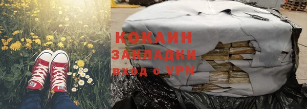 индика Арсеньев